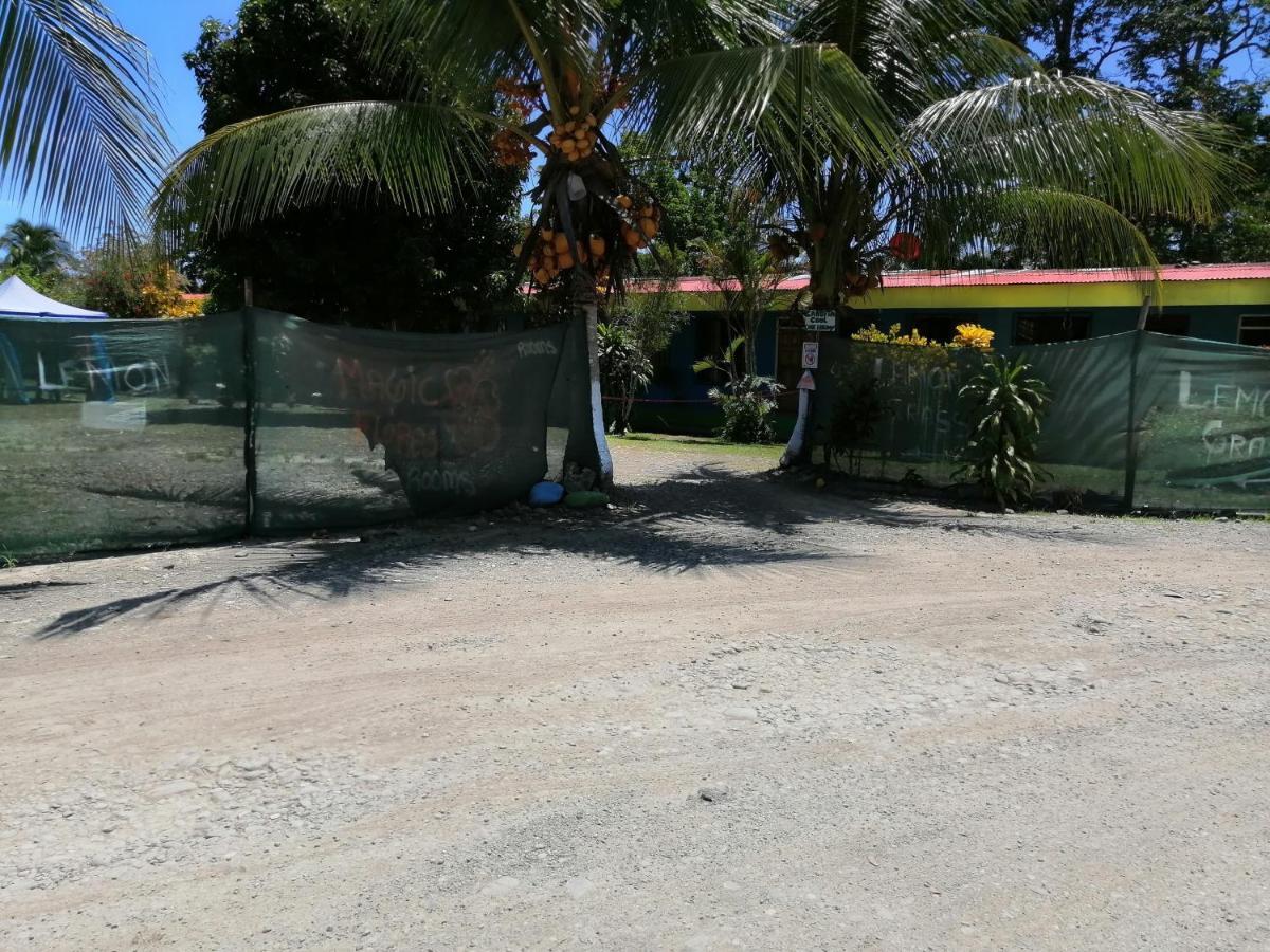 Magic Flower Rooms Cahuita Exterior foto